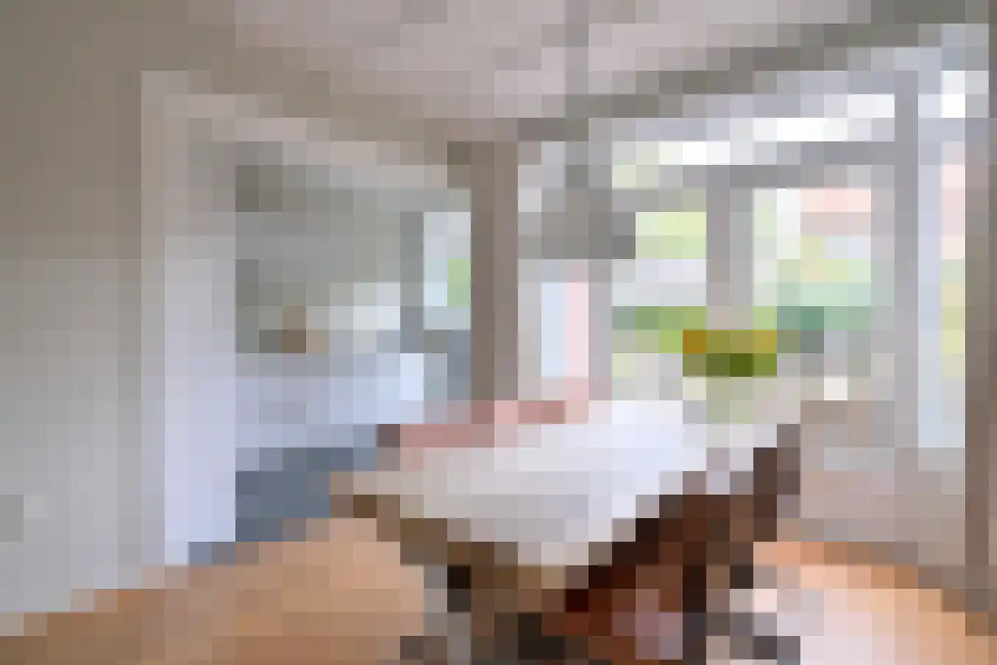 Sloetstraat 63 Zutphen thumbnail 9