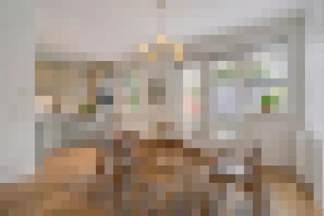 Sloetstraat 73 Arnhem thumbnail 4