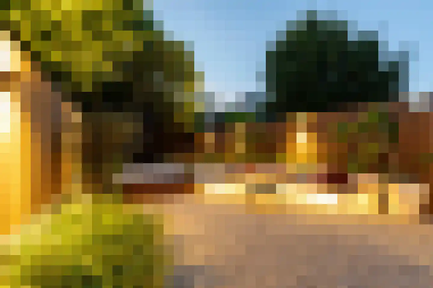 Sloetstraat 80 Arnhem thumbnail 11