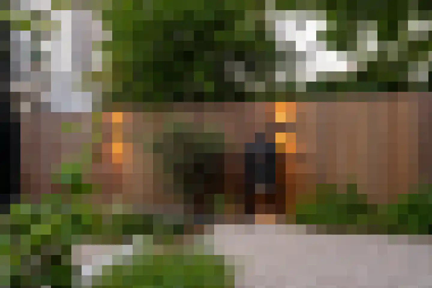 Sloetstraat 80 Arnhem thumbnail 14