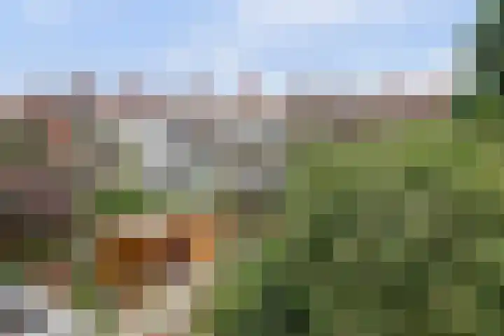 Sloetstraat 96 Arnhem thumbnail 39