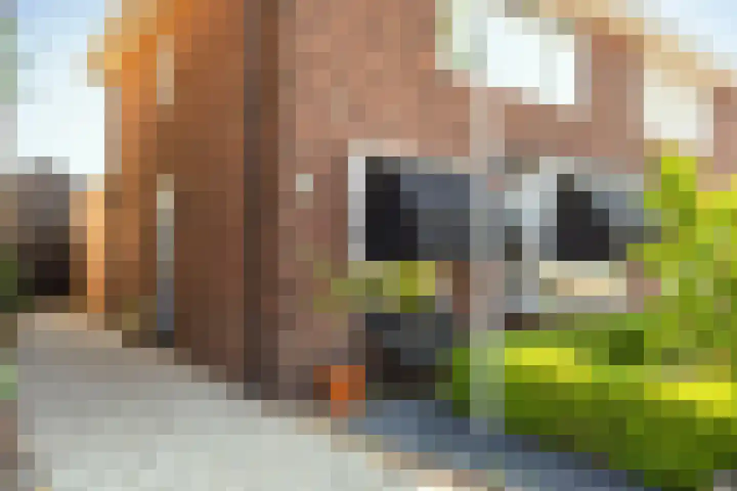 Sloetsweg 132 Hengelo thumbnail 10