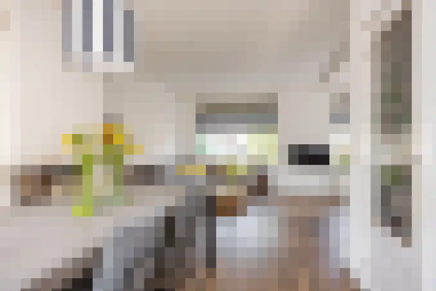 Sloetsweg 132 Hengelo thumbnail 15