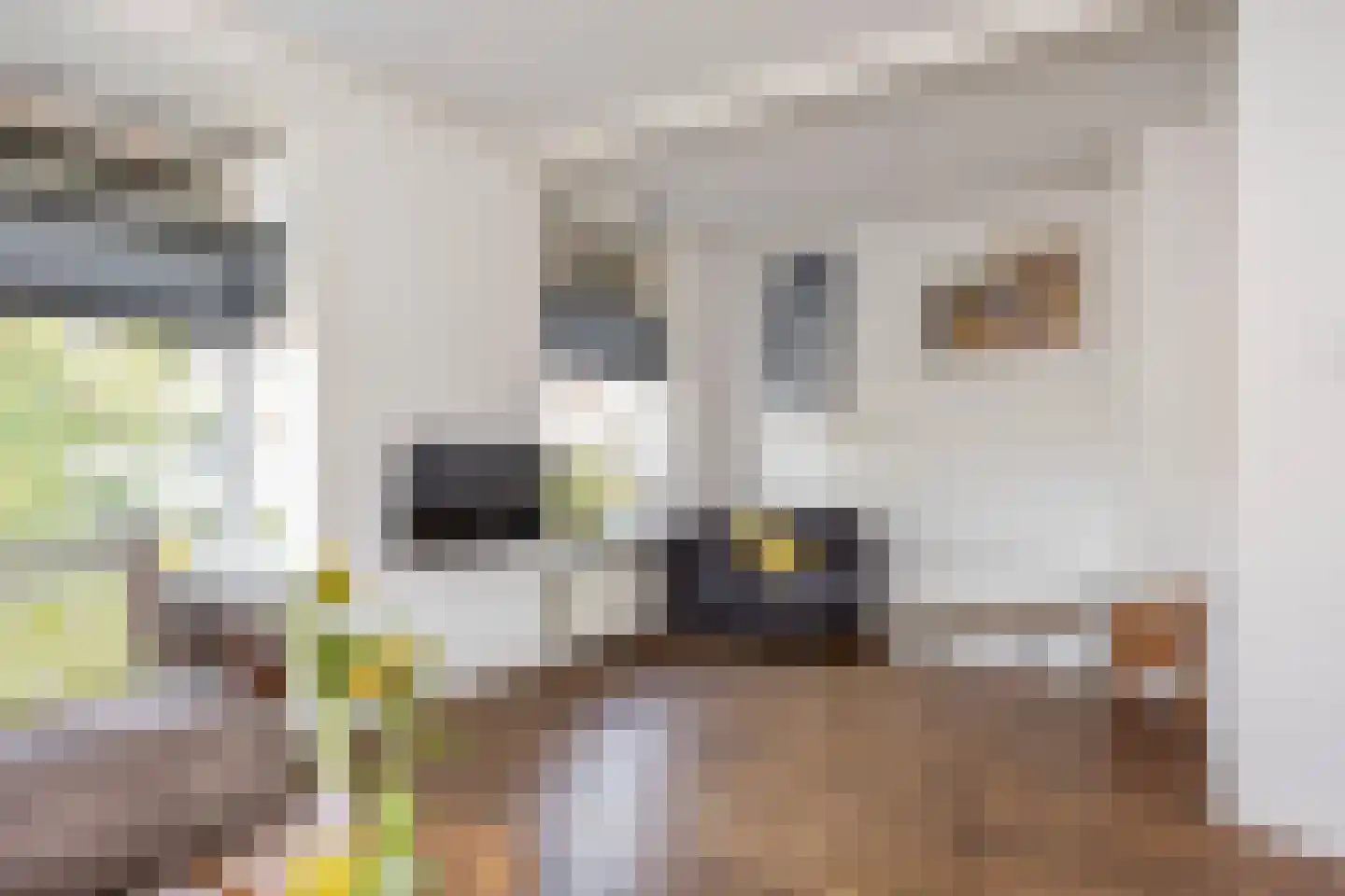 Sloetsweg 132 Hengelo thumbnail 17