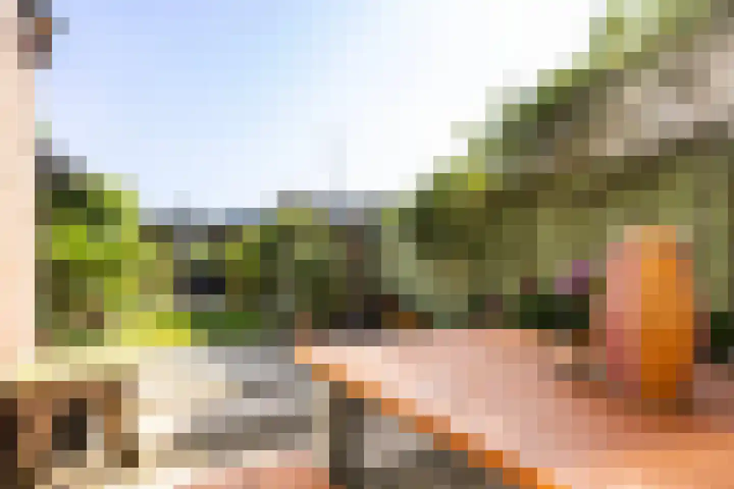 Sloetsweg 132 Hengelo thumbnail 34