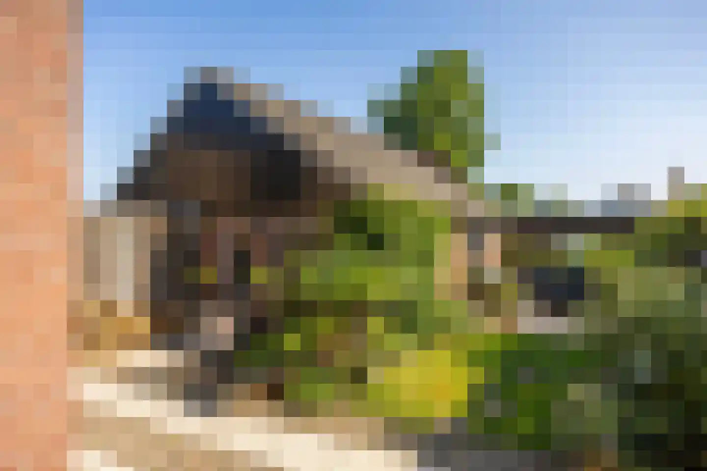 Sloetsweg 132 Hengelo thumbnail 38