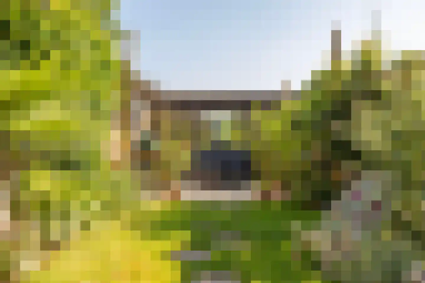Sloetsweg 132 Hengelo thumbnail 40