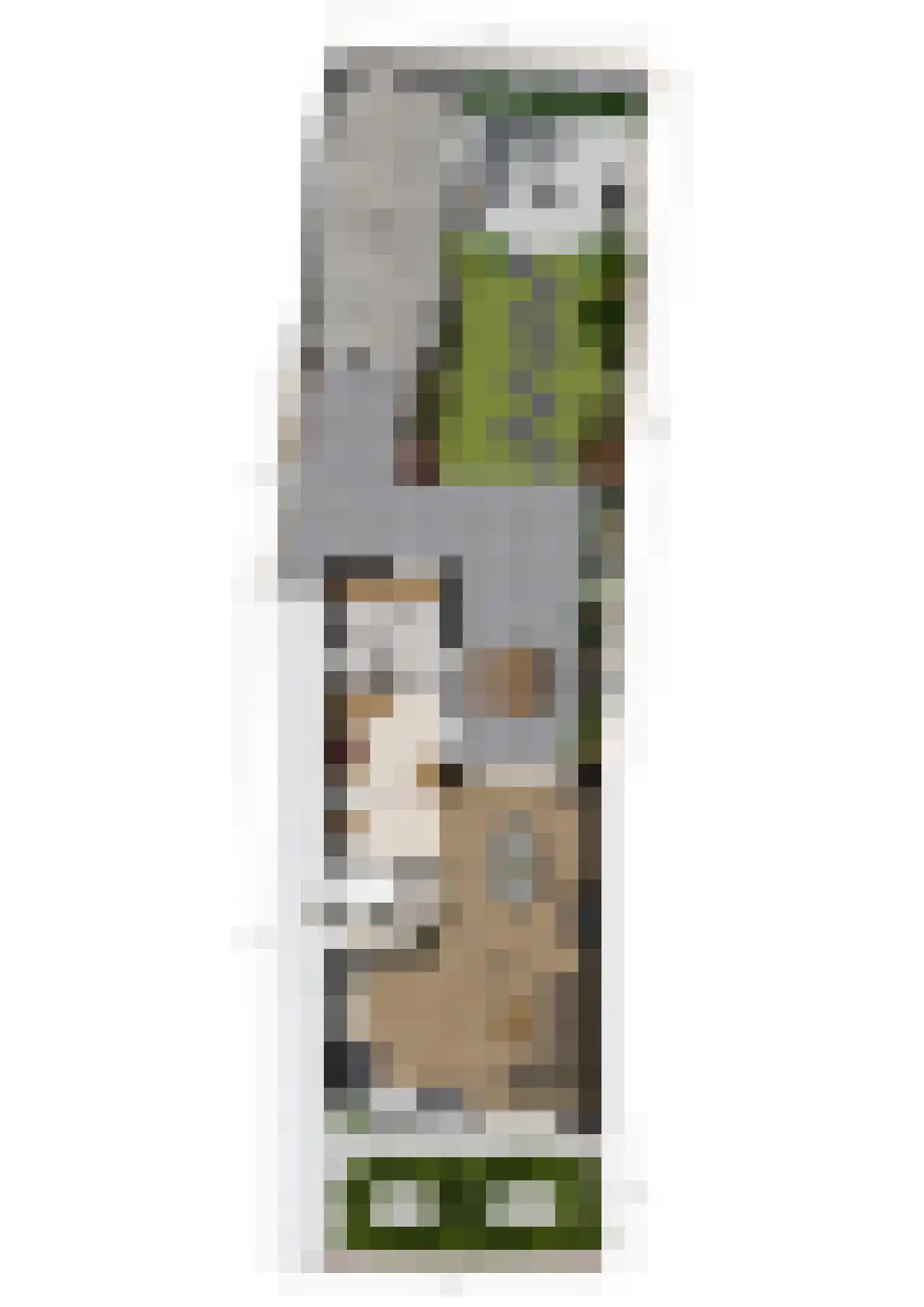 Sloetsweg 132 Hengelo thumbnail 47