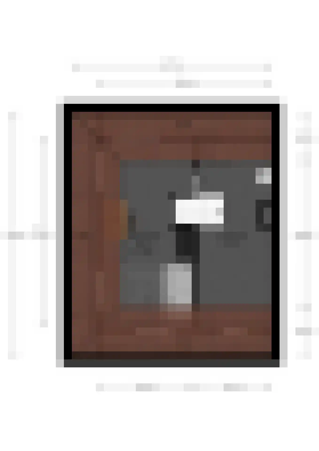 Sloetsweg 132 Hengelo thumbnail 50