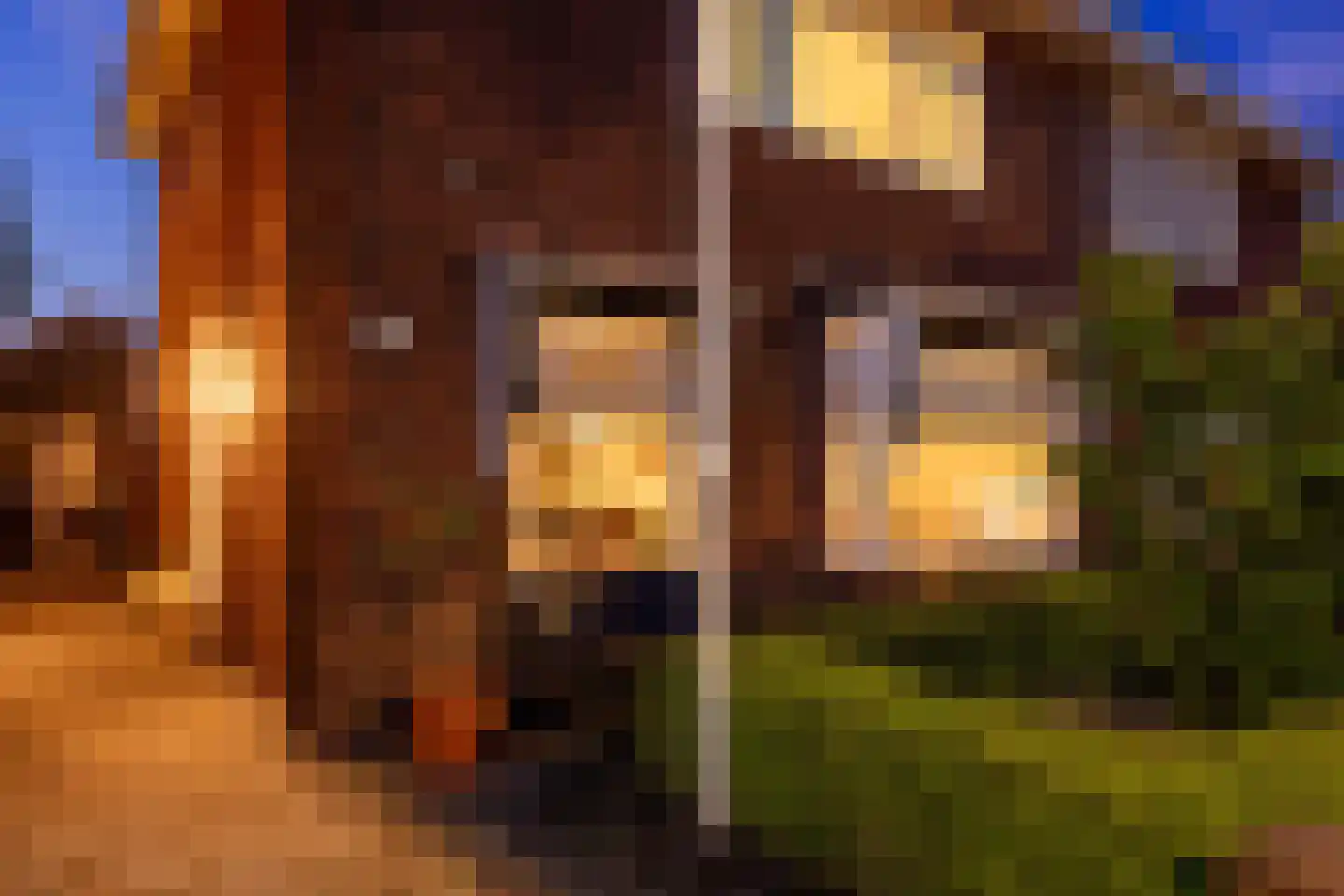 Sloetsweg 132 Hengelo thumbnail 9