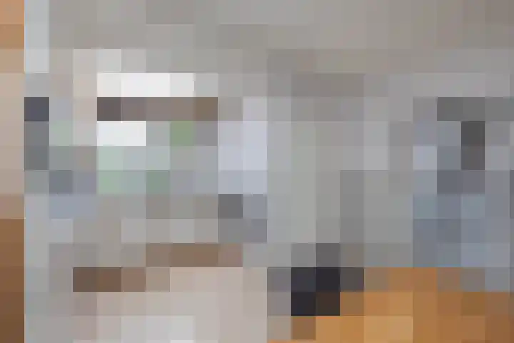 Sloetsweg 134 Hengelo thumbnail 10