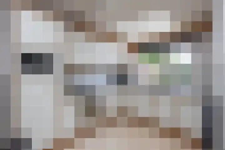 Sloetsweg 134 Hengelo thumbnail 11