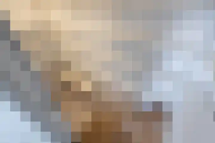 Sloetsweg 134 Hengelo thumbnail 13