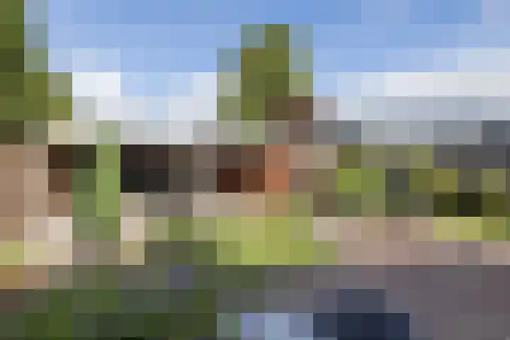 Sloetsweg 134 Hengelo thumbnail 26