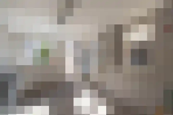 Sloetsweg 134 Hengelo thumbnail 35