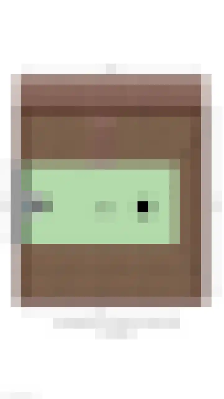 Sloetsweg 134 Hengelo thumbnail 41