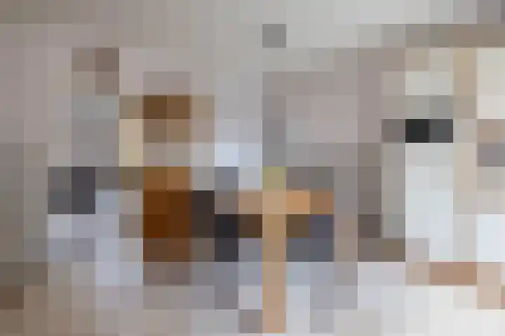 Sloetsweg 134 Hengelo thumbnail 8