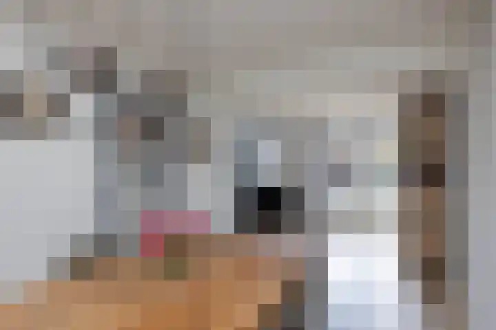 Sloetsweg 143 Hengelo thumbnail 10