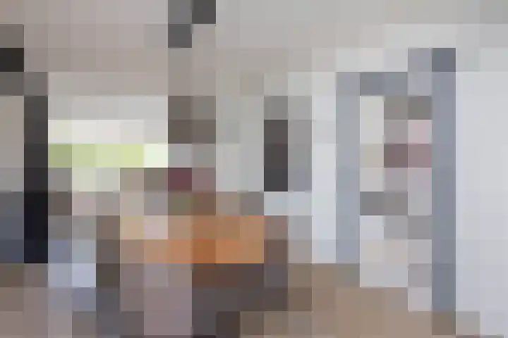 Sloetsweg 143 Hengelo thumbnail 11