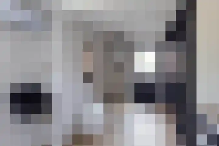 Sloetsweg 143 Hengelo thumbnail 13