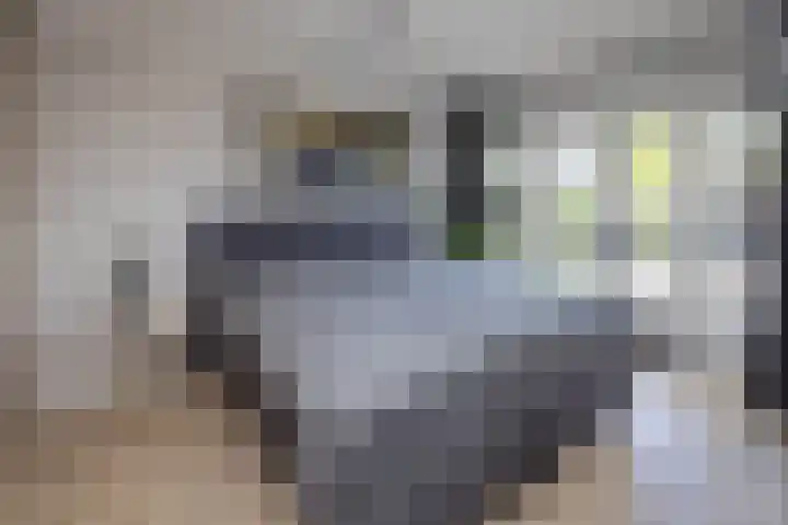 Sloetsweg 143 Hengelo thumbnail 18
