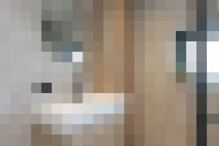 Sloetsweg 143 Hengelo thumbnail 21
