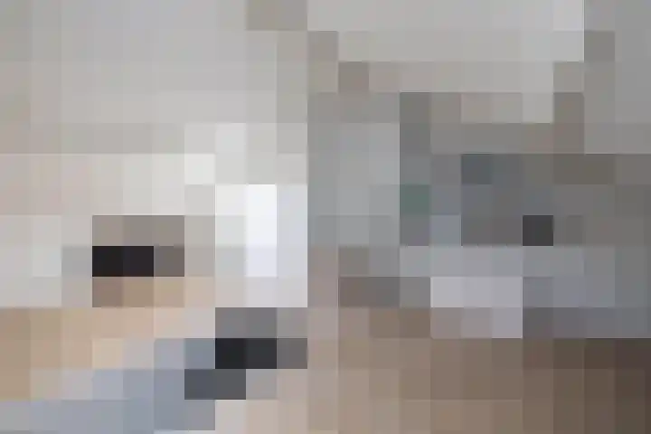 Sloetsweg 143 Hengelo thumbnail 25