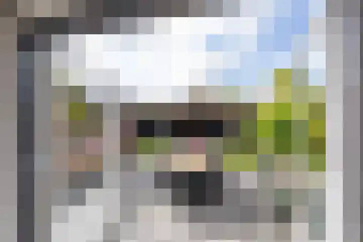 Sloetsweg 143 Hengelo thumbnail 28