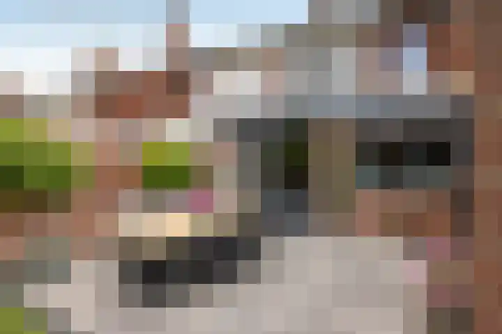 Sloetsweg 143 Hengelo thumbnail 29