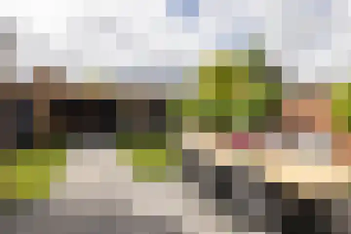 Sloetsweg 143 Hengelo thumbnail 31