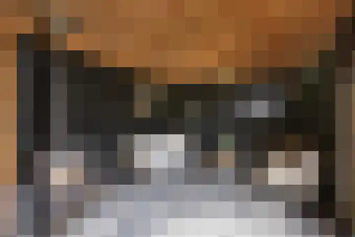 Sloetsweg 143 Hengelo thumbnail 34