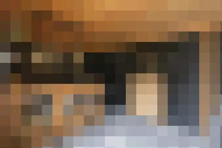 Sloetsweg 143 Hengelo thumbnail 36