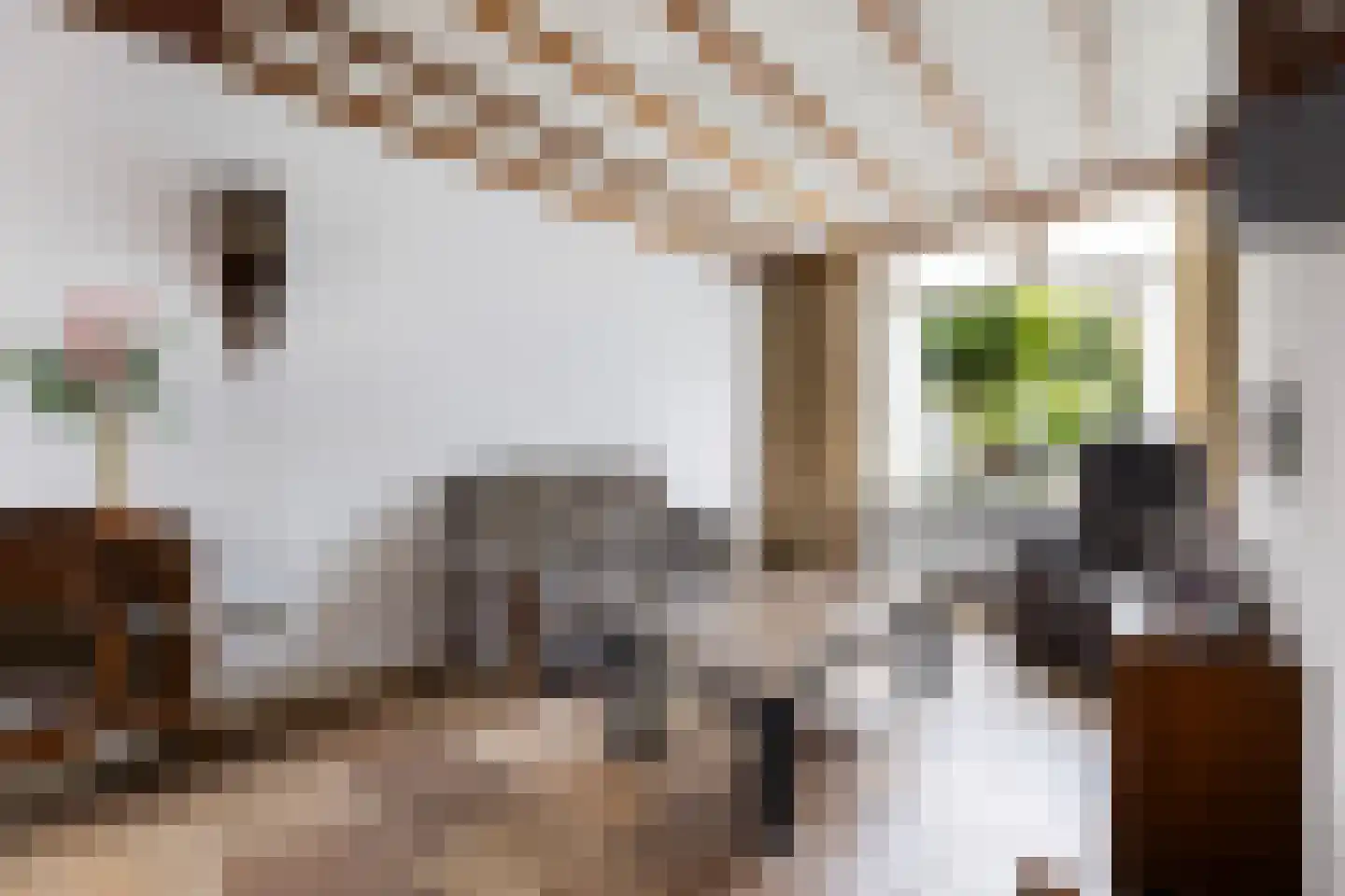 Sloetsweg 223 Hengelo thumbnail 10