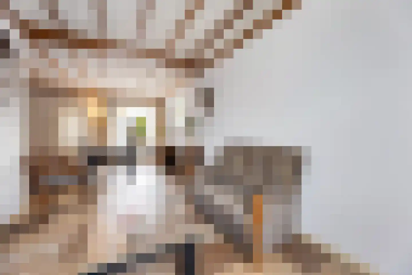 Sloetsweg 223 Hengelo thumbnail 11