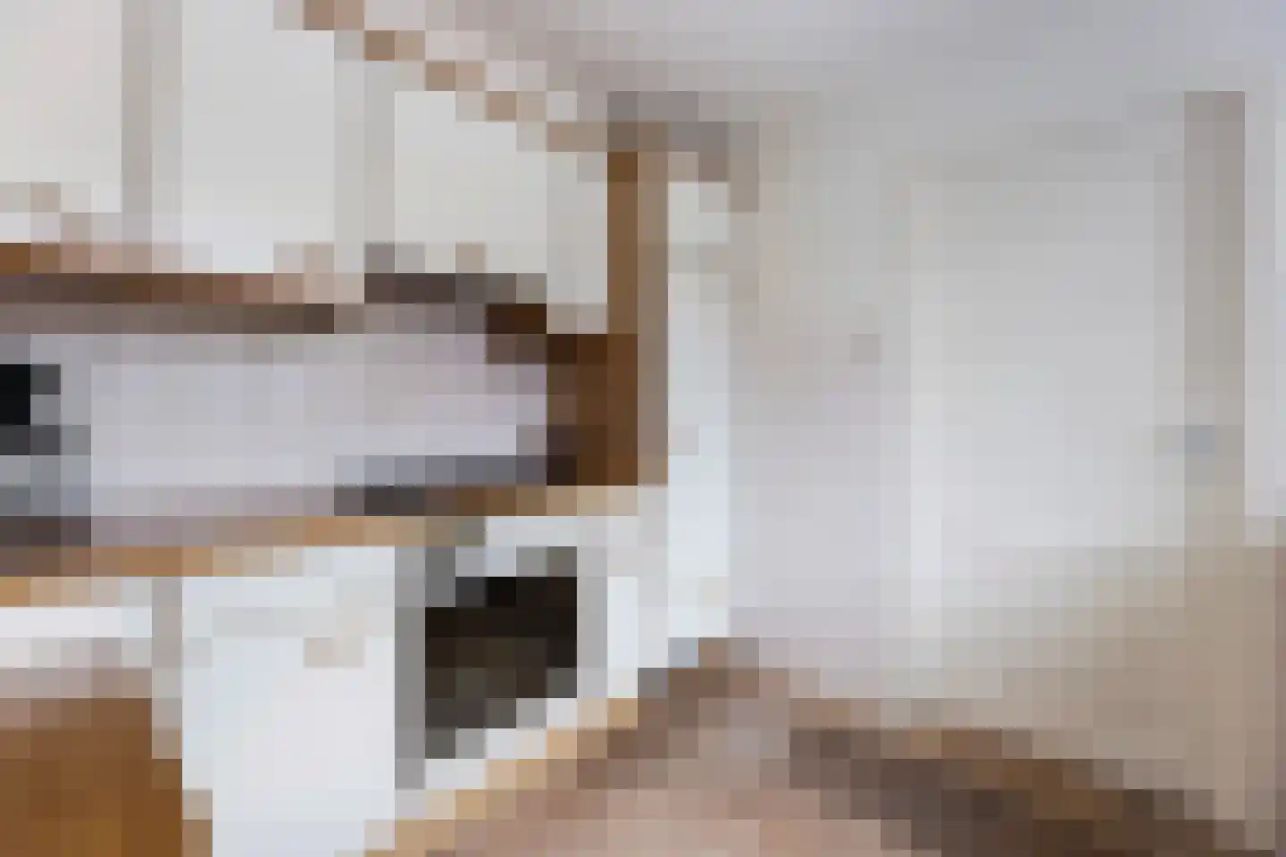 Sloetsweg 223 Hengelo thumbnail 16