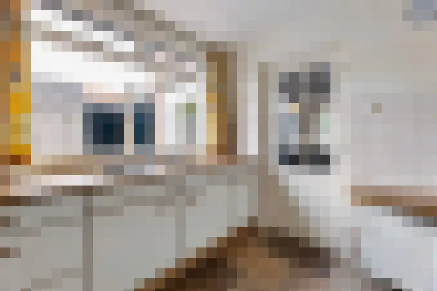 Sloetsweg 223 Hengelo thumbnail 17