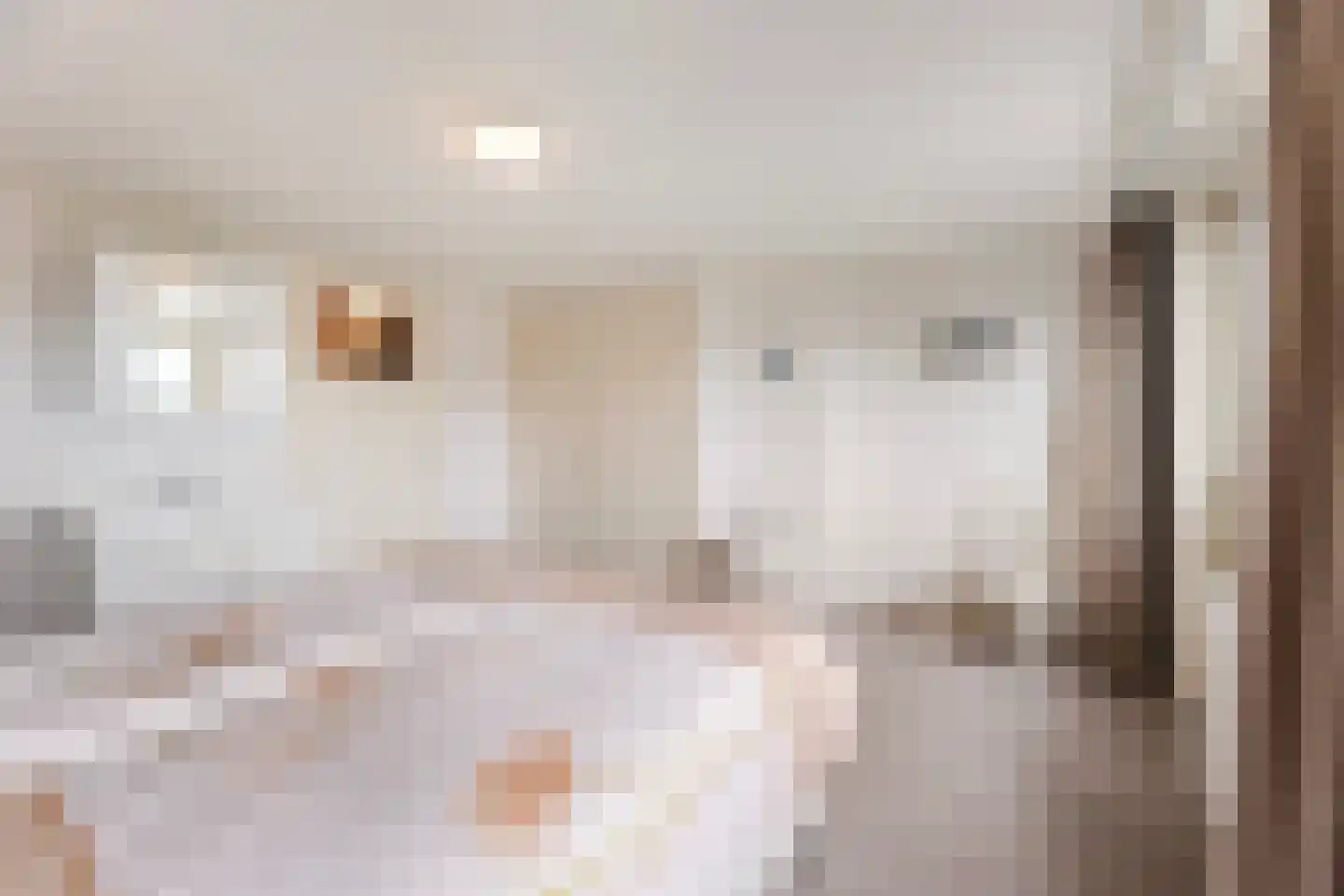 Sloetsweg 223 Hengelo thumbnail 29