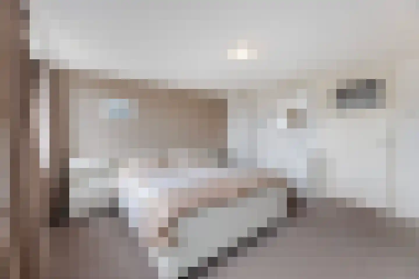 Sloetsweg 223 Hengelo thumbnail 31