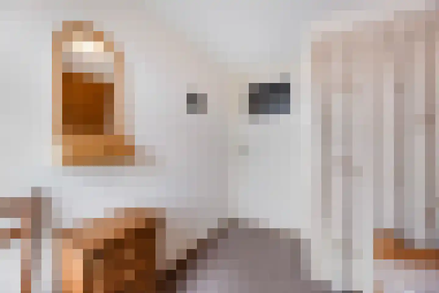 Sloetsweg 223 Hengelo thumbnail 33