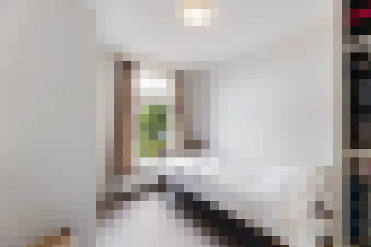 Sloetsweg 223 Hengelo thumbnail 34