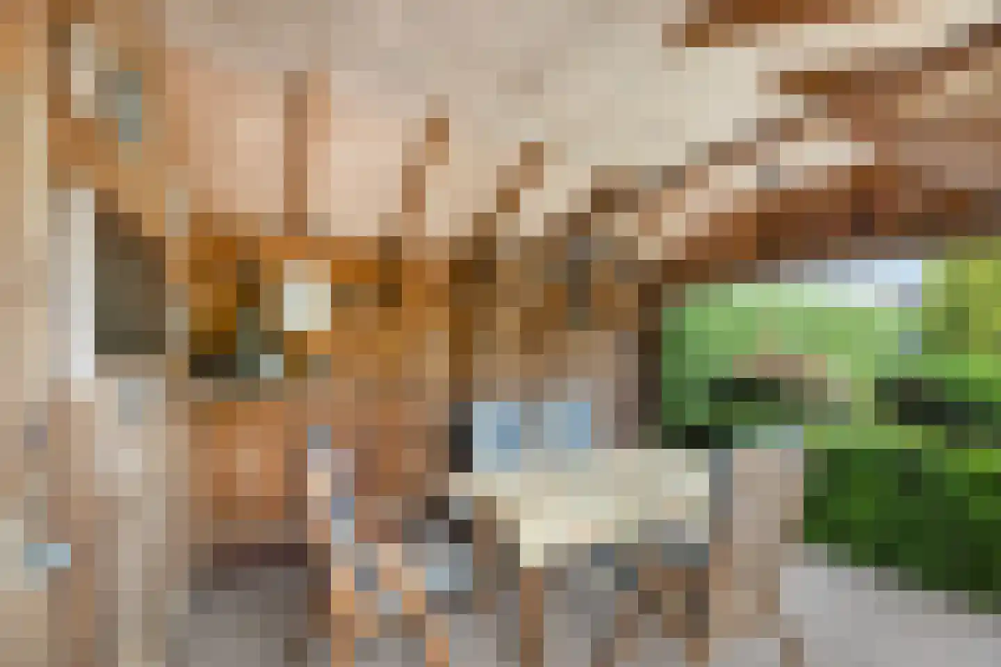 Sloetsweg 223 Hengelo thumbnail 35