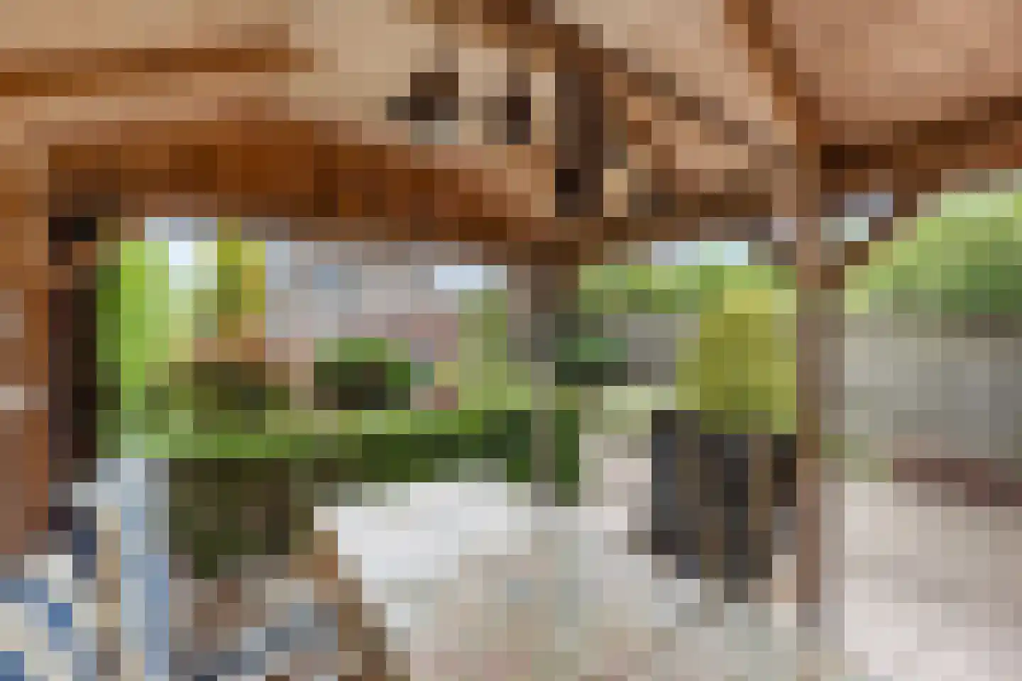 Sloetsweg 223 Hengelo thumbnail 36