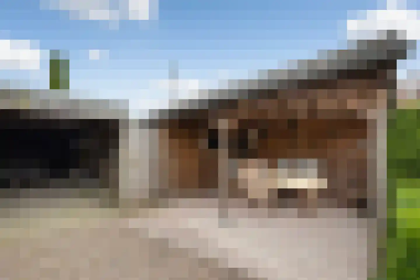 Sloetsweg 223 Hengelo thumbnail 39
