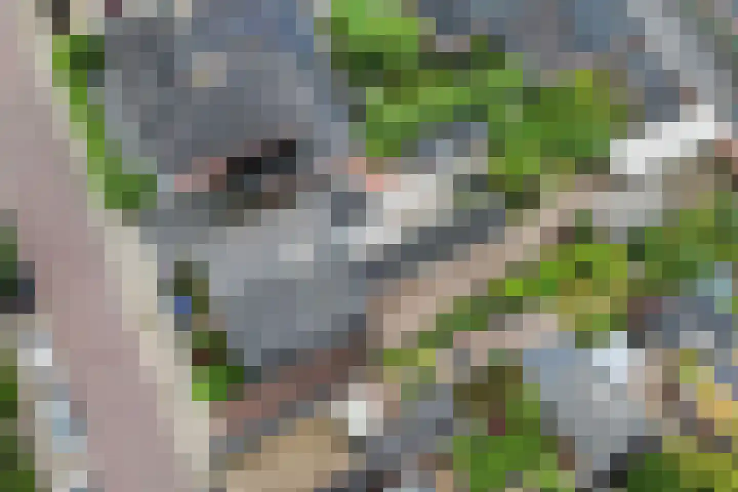 Sloetsweg 223 Hengelo thumbnail 48