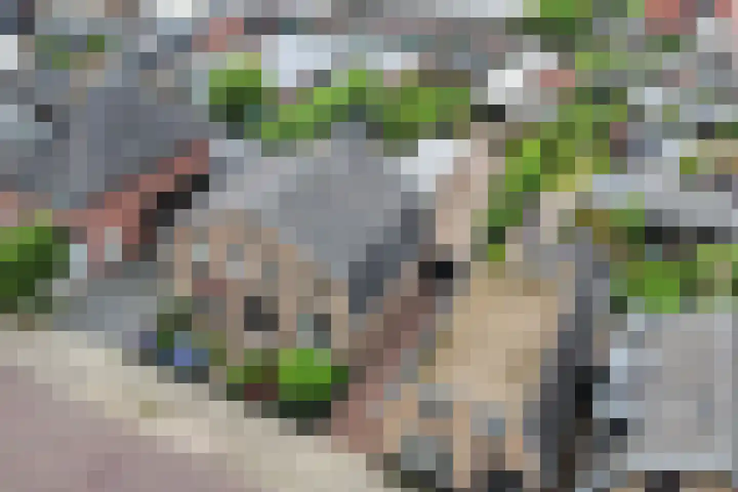 Sloetsweg 223 Hengelo thumbnail 49