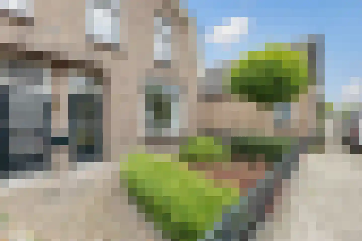 Sloetsweg 223 Hengelo thumbnail 5