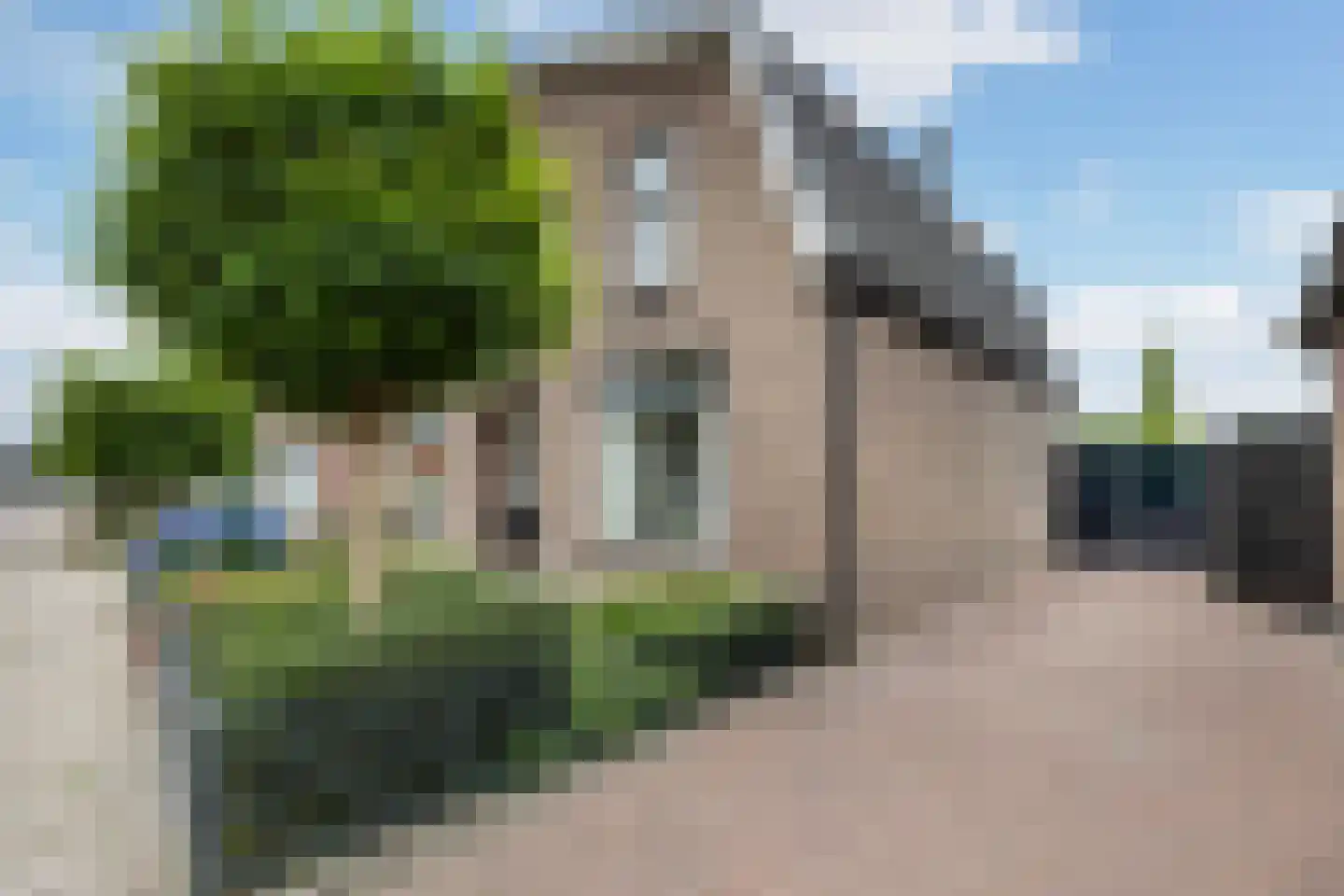 Sloetsweg 223 Hengelo thumbnail 6