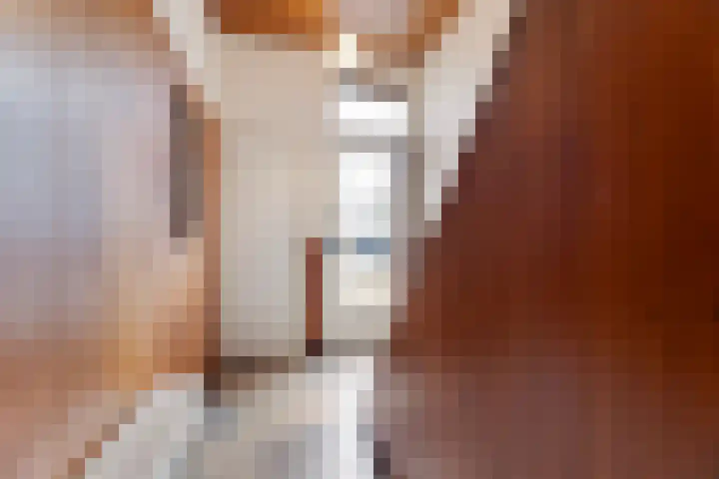 Sloetsweg 223 Hengelo thumbnail 7