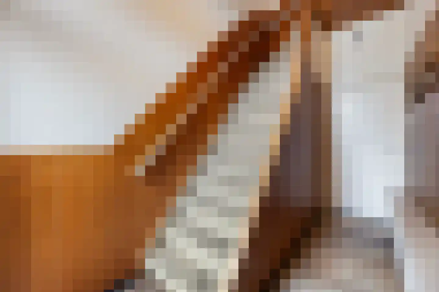 Sloetsweg 223 Hengelo thumbnail 8
