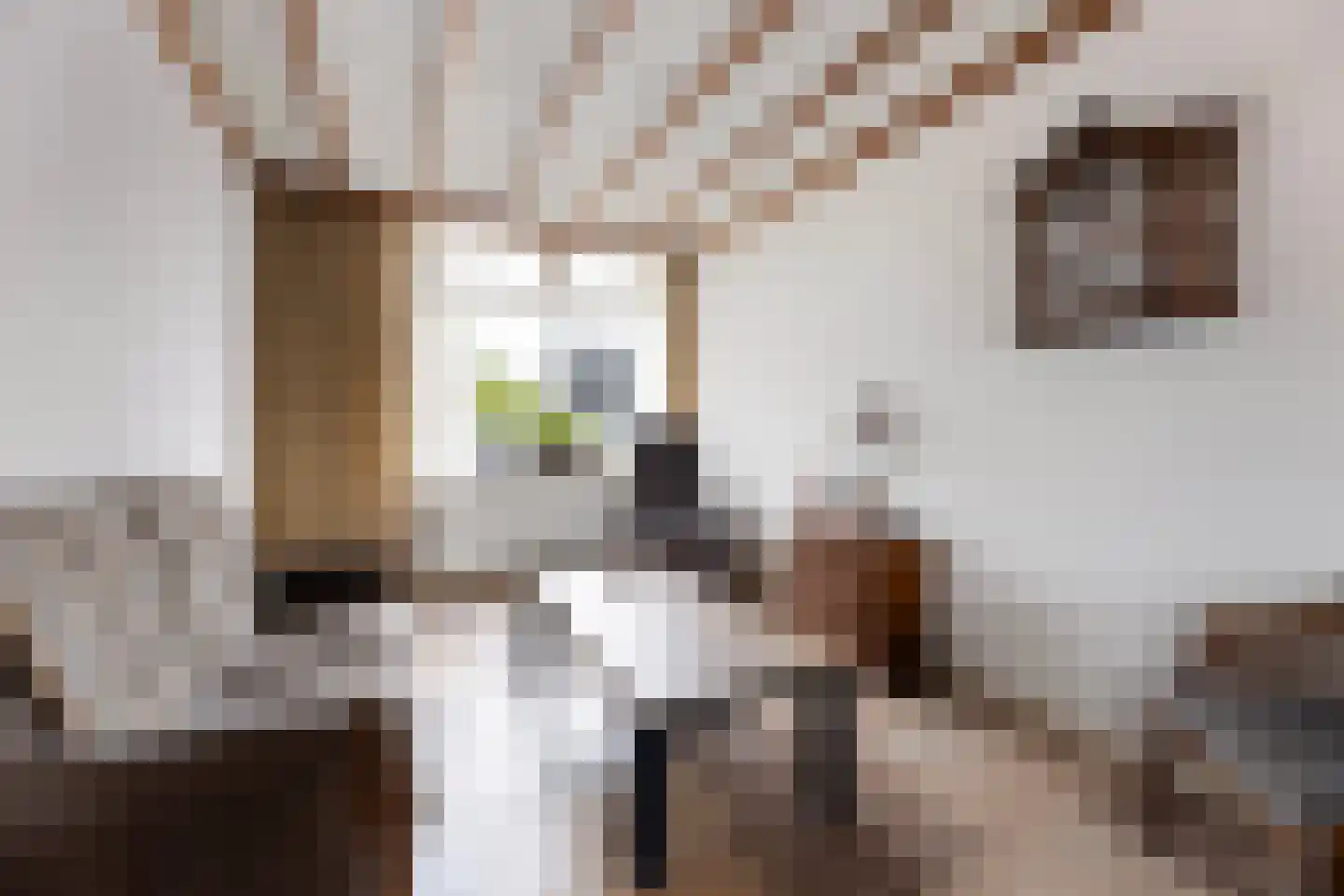 Sloetsweg 223 Hengelo thumbnail 9